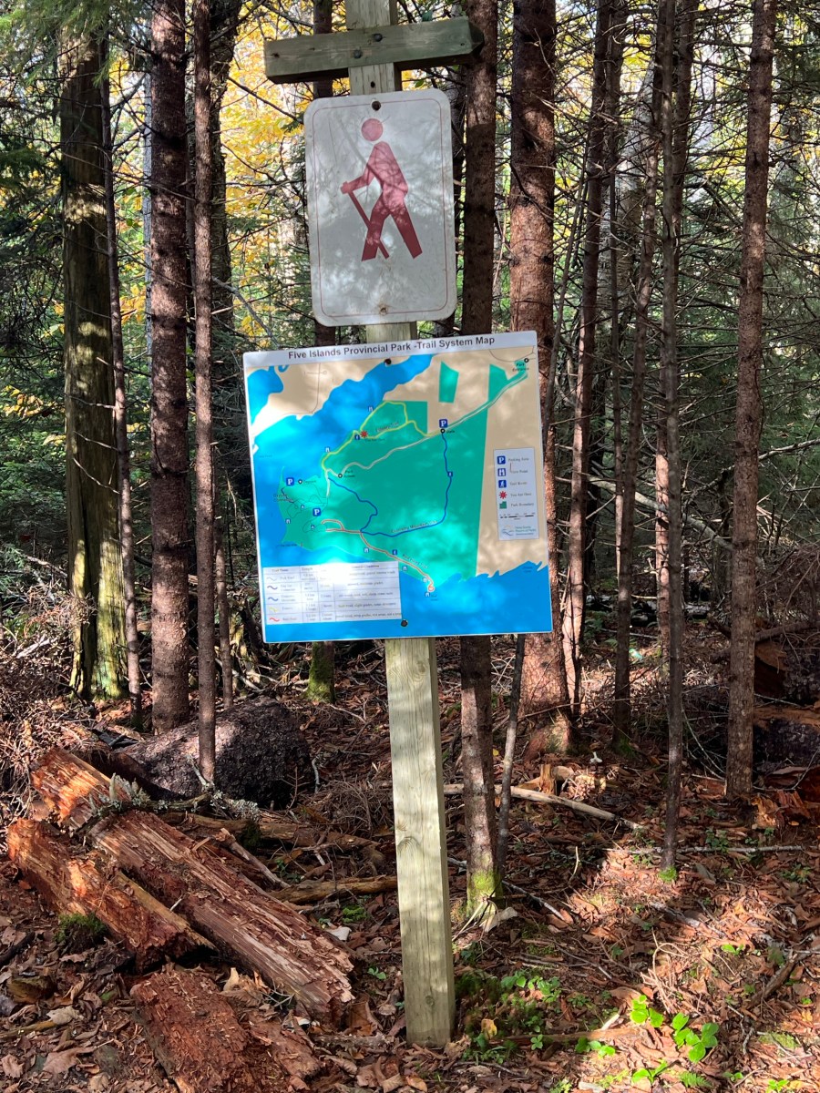 Five Islands Provincial Park Estuary Trail Tide Rollers & Mudlarkers…