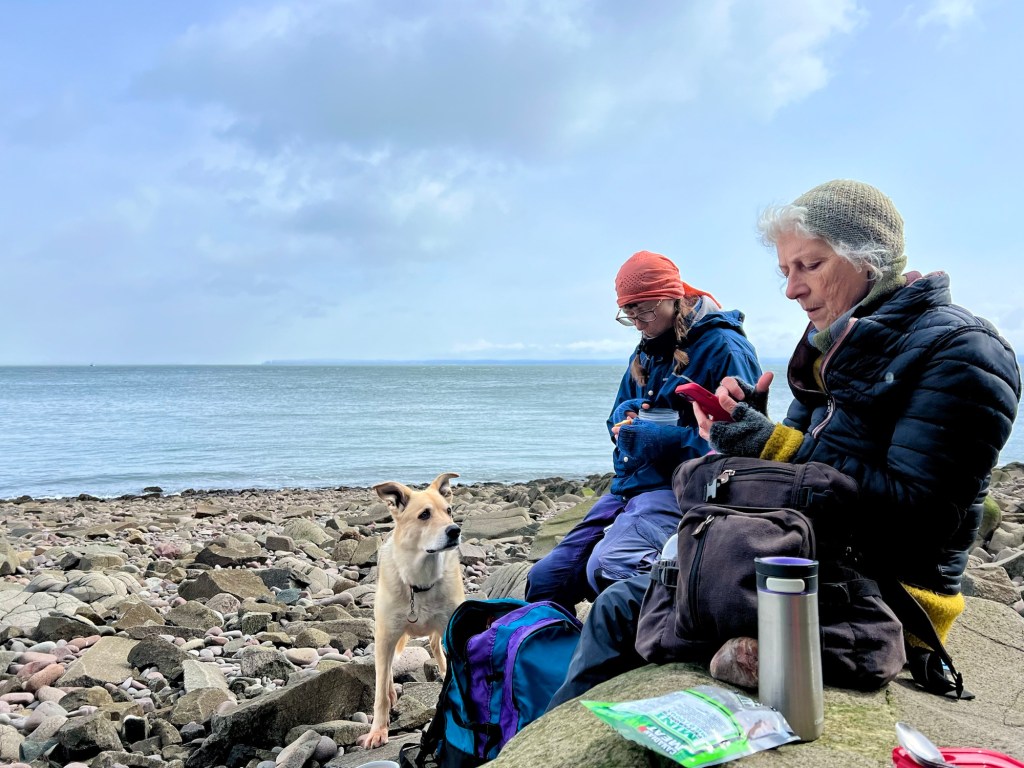 Two women sitting on a rocky beach, one using a phone and the other engaged with a backpack. A dog stands nearby looking at them, with the ocean visible in the background under a partly cloudy sky.