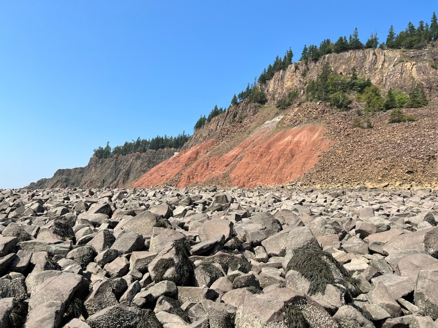 Five Islands Provincial Park Official Tour Operator Tide Rollers