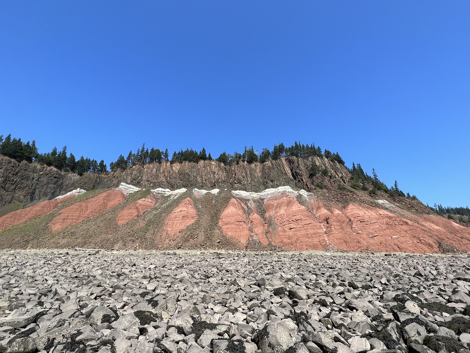 Five Islands Provincial Park Official Tour Operator Tide Rollers