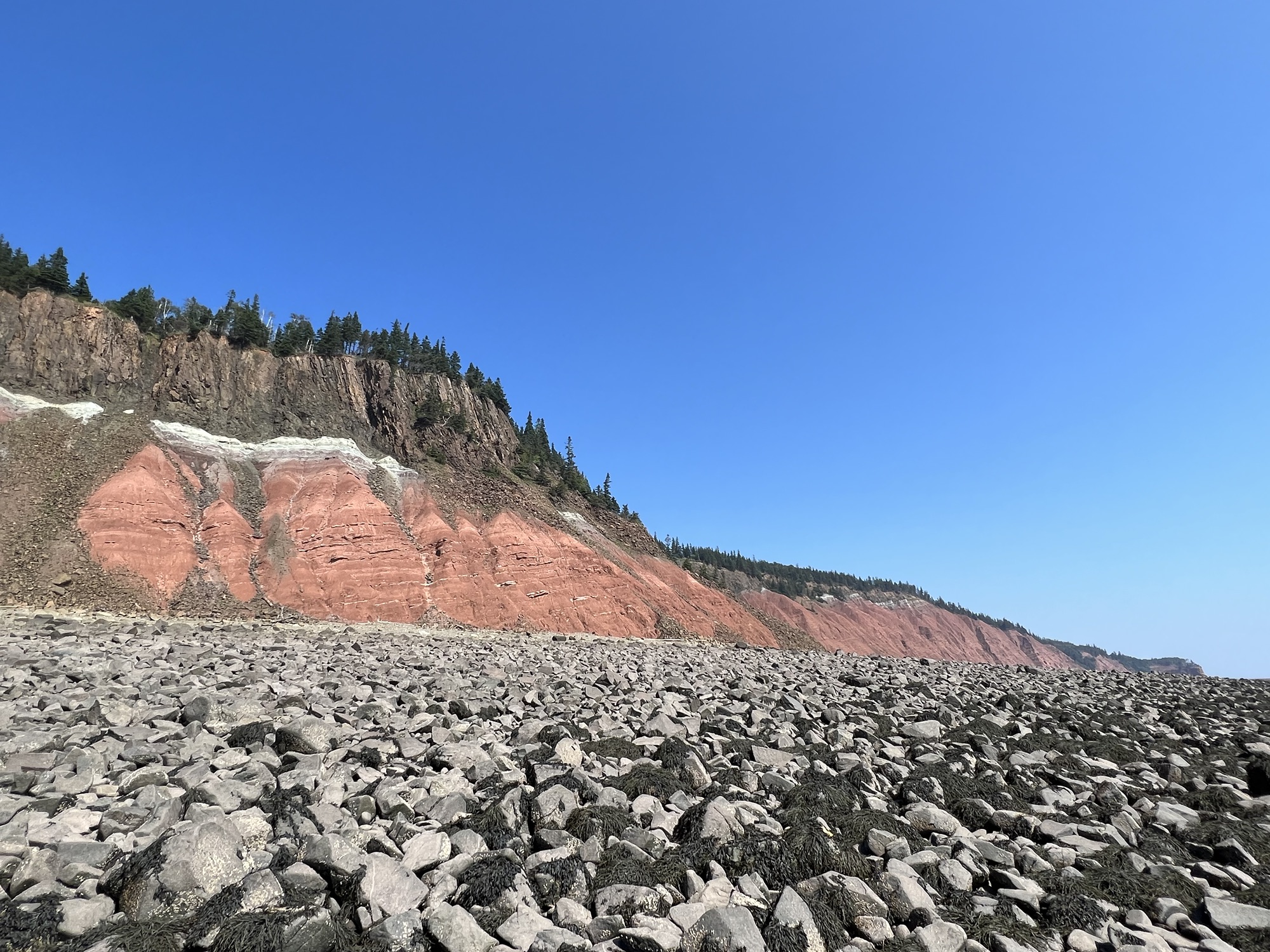 Five Islands Provincial Park Official Tour Operator Tide Rollers