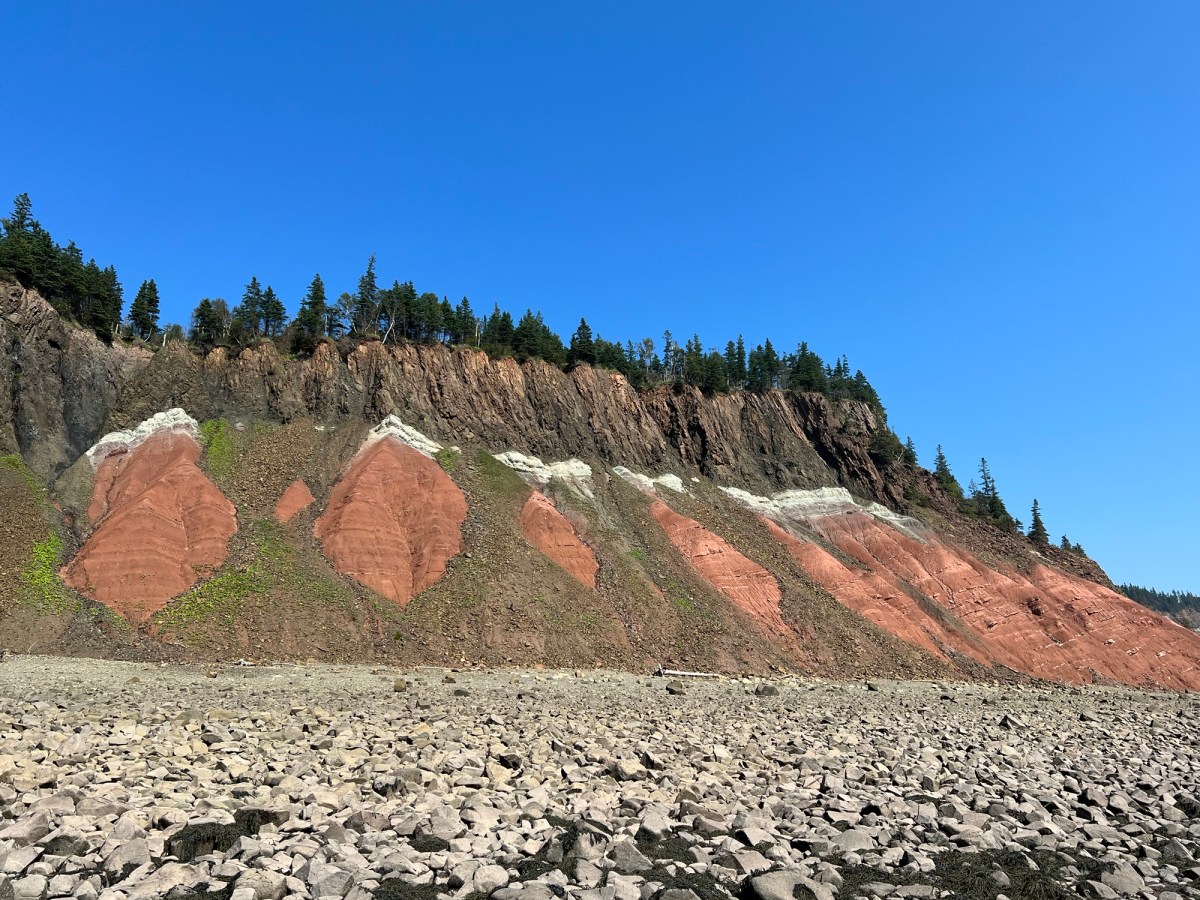 Five Islands Provincial Park Official Tour Operator Tide Rollers