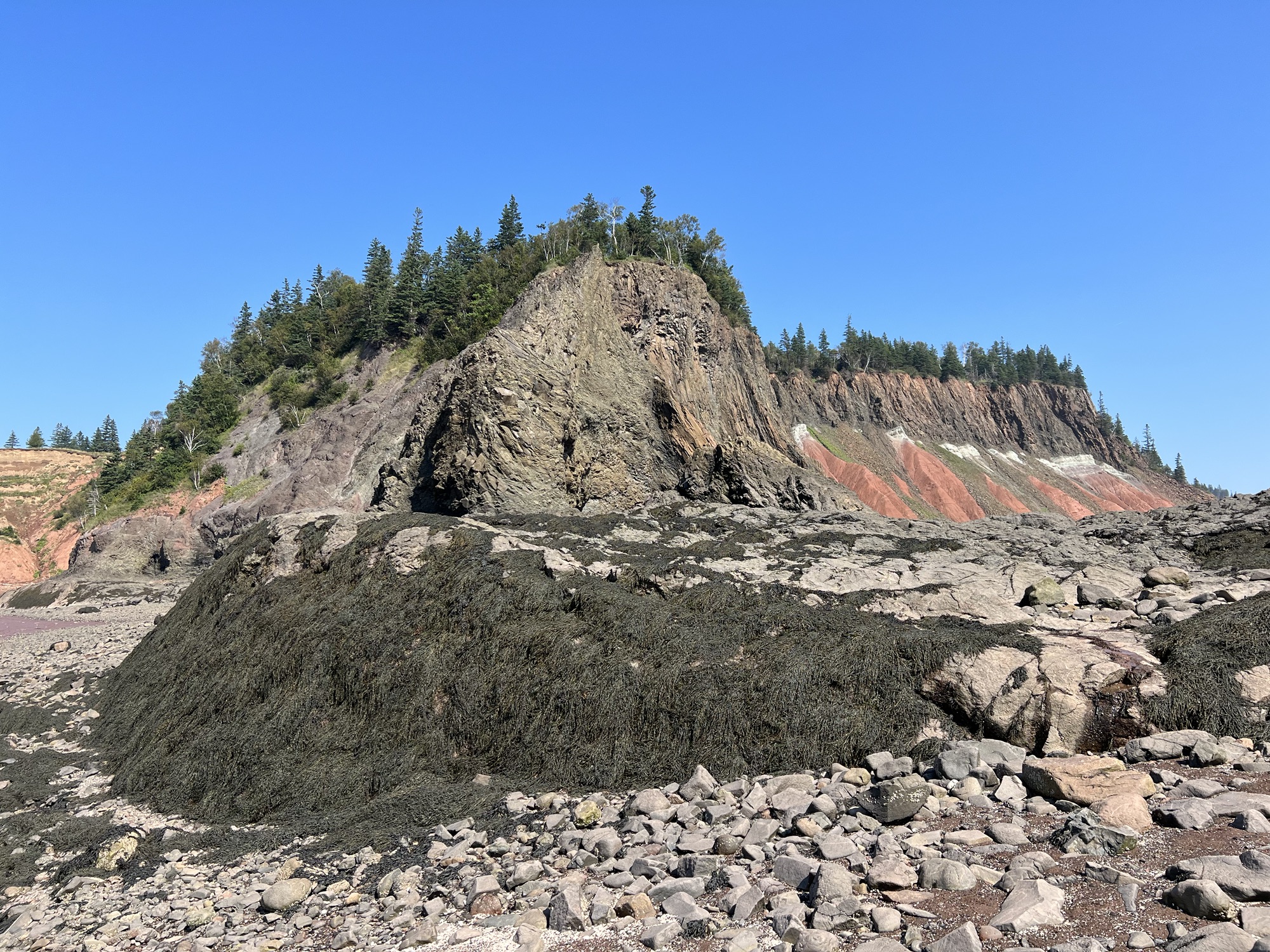 Five Islands Provincial Park Official Tour Operator Tide Rollers