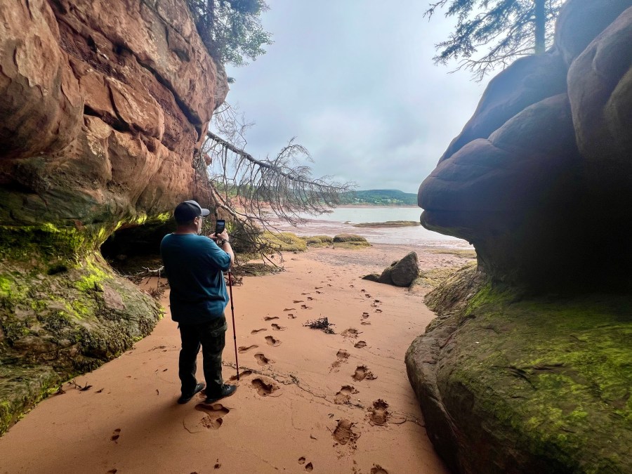 A person standing on a sandy beach, taking a photo with a smartphone near rocky formations and trees, with the ocean visible in the background under a cloudy sky.