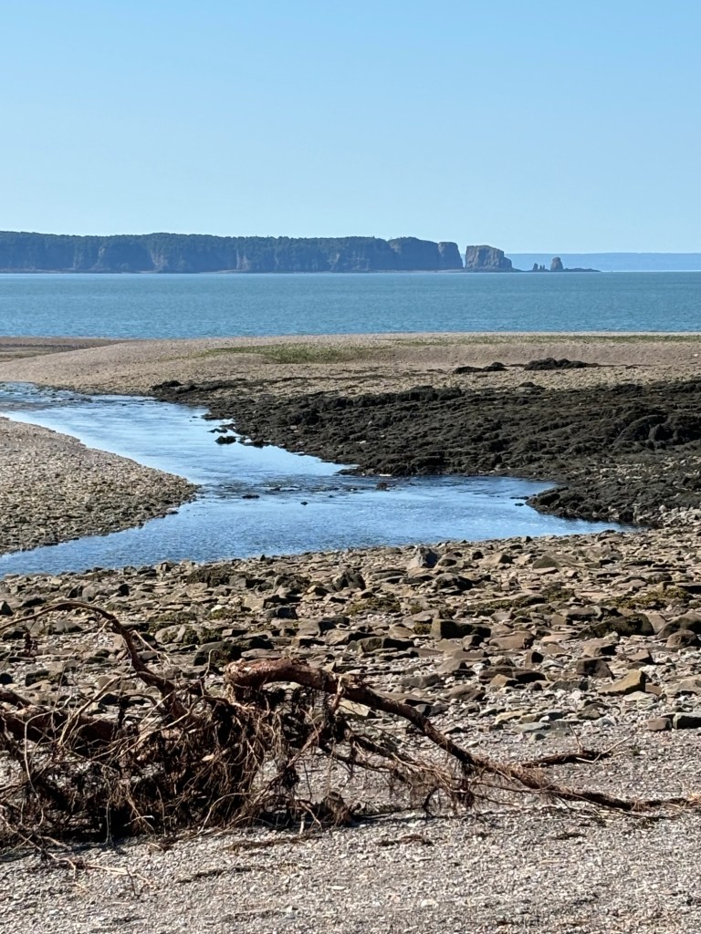 A serene coastal view showing a shallow stream flowing towards the ocean with rocky terrain and distant cliffs under a clear blue sky.