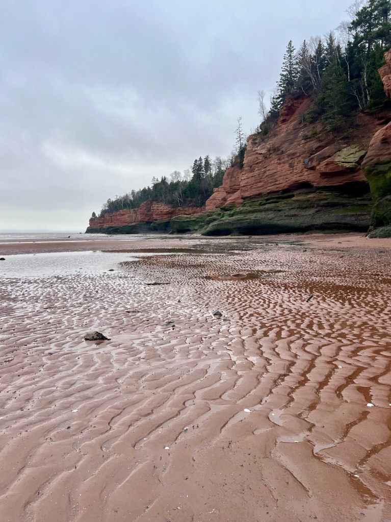 A scenic view of a tidal beach in Nova Scotia, showcasing rippled wet sand and impressive red sandstone cliffs lined with trees in the background under a cloudy sky.