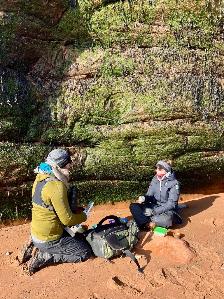 A man and a woman sitting on a sandy beach near a moss-covered rock wall, discussing a guidebook and holding some items.