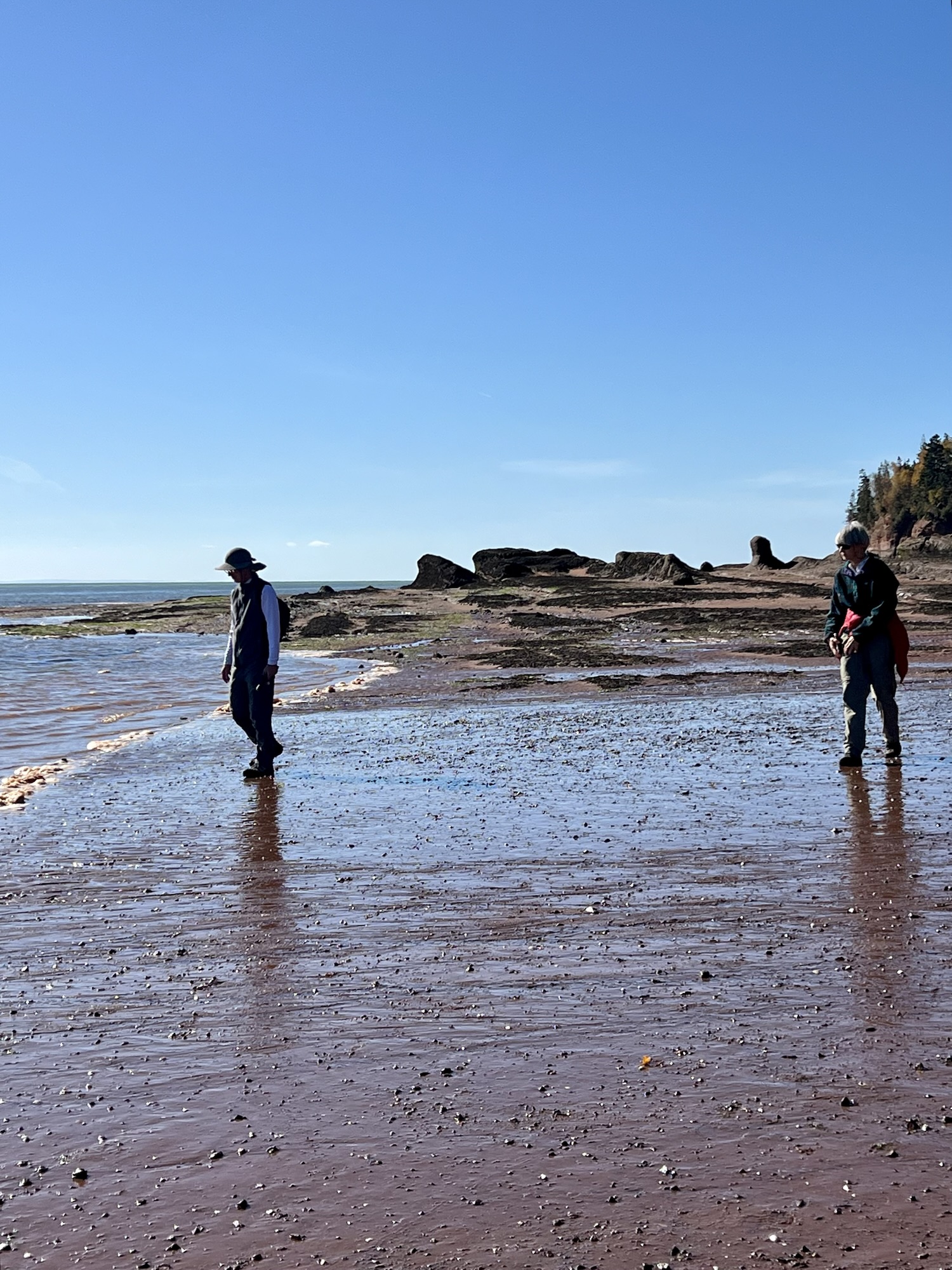 Know Before You Go – Tides, Timing, and Terrain in and around Parrsboro ...